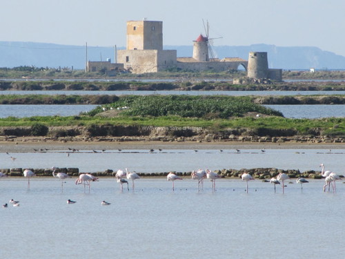 Saline Trapani e Paceco
