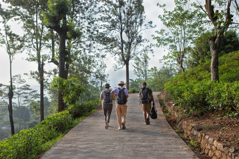 Pekoe Trail, Zentrales Hochland, Sri Lanka