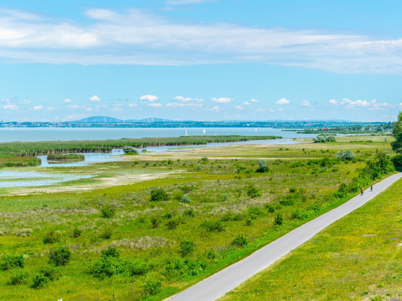 Neusiedler See