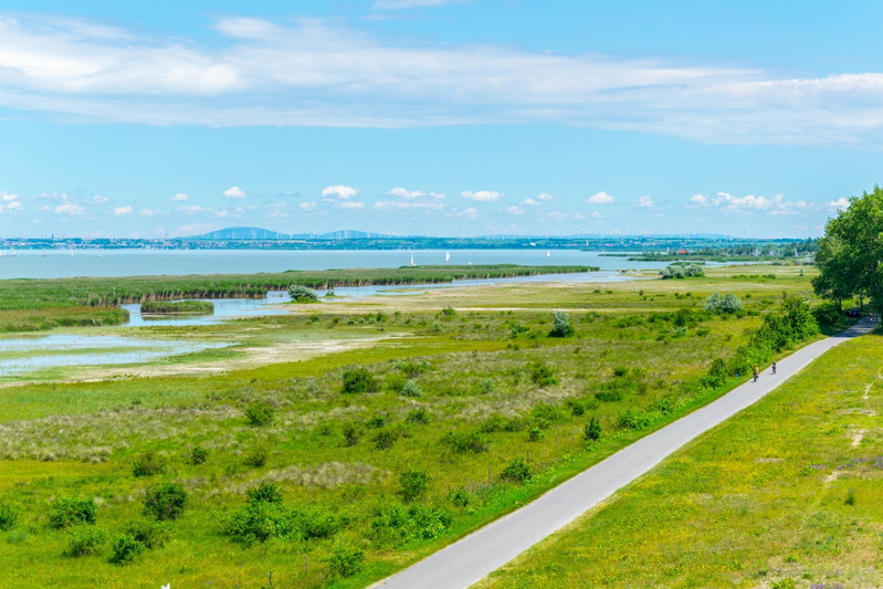 Neuer Radweg durch den Nationalpark Neusiedler See eröffnet