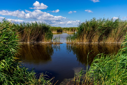 Nationalpark Neusiedler See