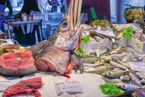 Fische und Meeresfrüchte in allen Größen und Varianten, vom Oktopus bis zum majestätischen Schwertfisch...