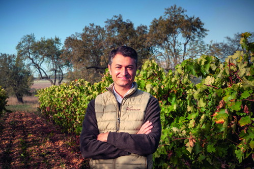 Rafael Vivanco vom gleichnamigen Weingut war eine der treibenden Kräfte bei der Einführung der Espumoso de Rioja. Unten der Keller von Vivanco.