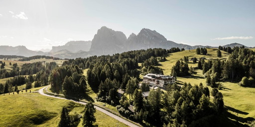 Almwiesen, Kräuter und Dolomiten