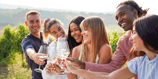 Fünf niederösterreichische Weine für den Sommer