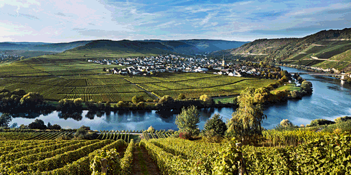 Gewinnspiel: Grossartige deutsche Weine mit «taste.love.riesling»