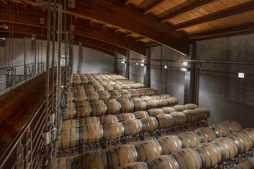 Winery “Vite Colte”