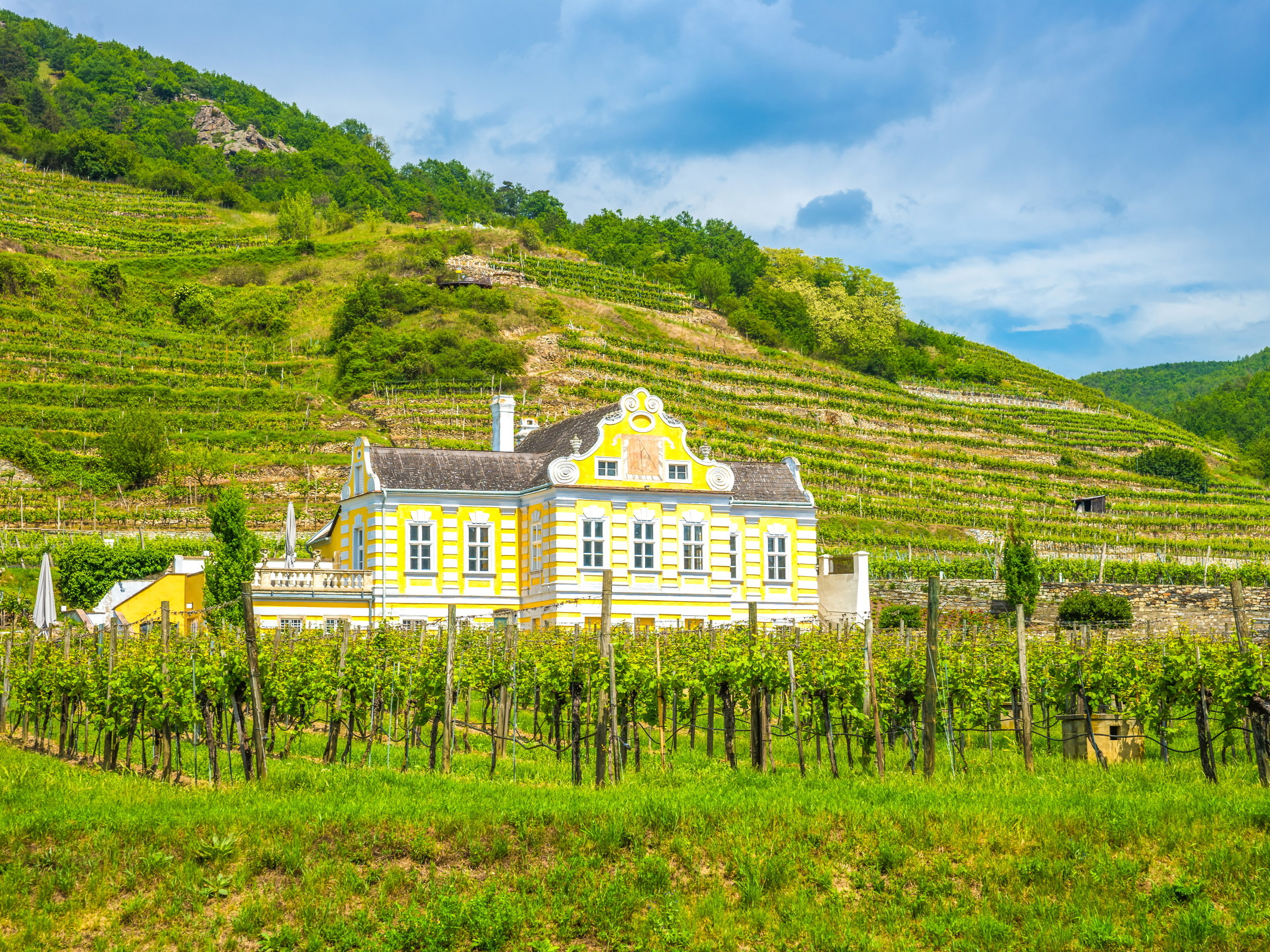 Das barocke Kellerschlössl der Domäne Wachau