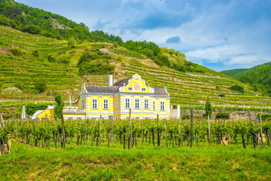 Domäne Wachau startet im Juli Pop-up-Heurigen