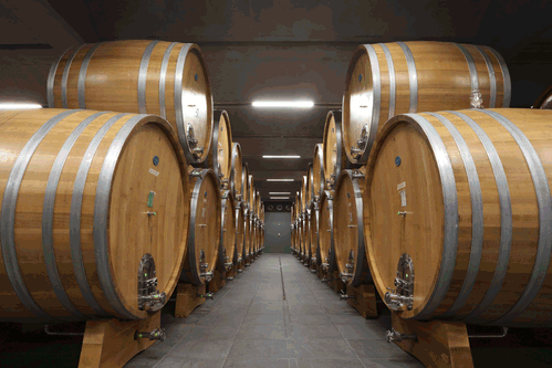 Winery “Cantina Murialdo Muratore”