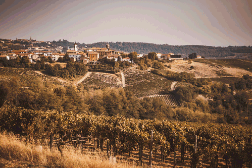 “Cantina Tre Secoli”