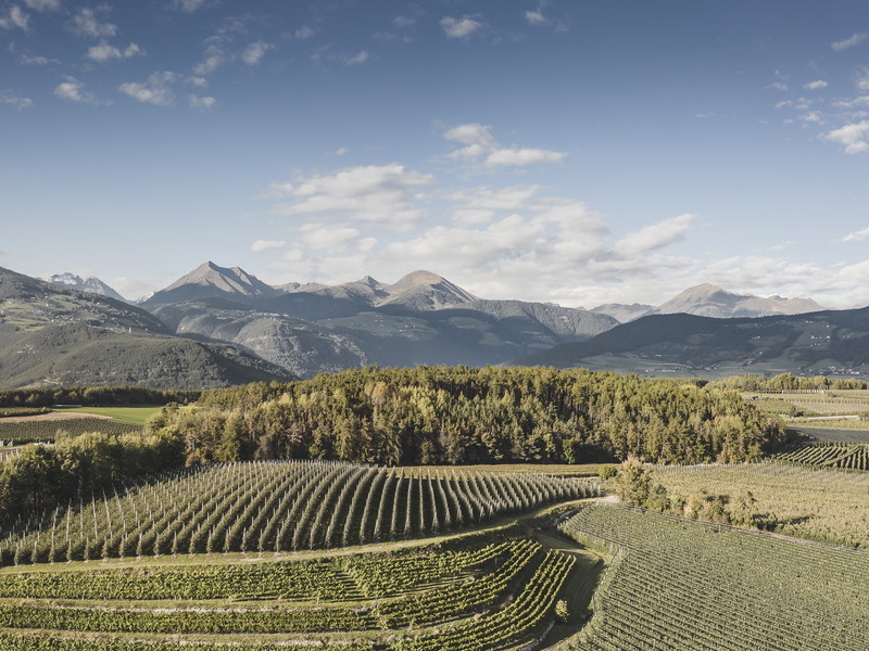 Concorso a premi: le mele Marlene® ti portano in Alto Adige – Südtirol, partecipa e vinci un soggiorno in un agriturismo