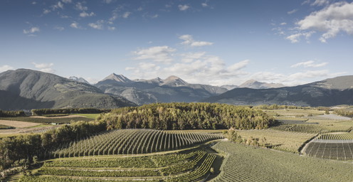 Concorso a premi: le mele Marlene® ti portano in Alto Adige – Südtirol, partecipa e vinci un soggiorno in un agriturismo