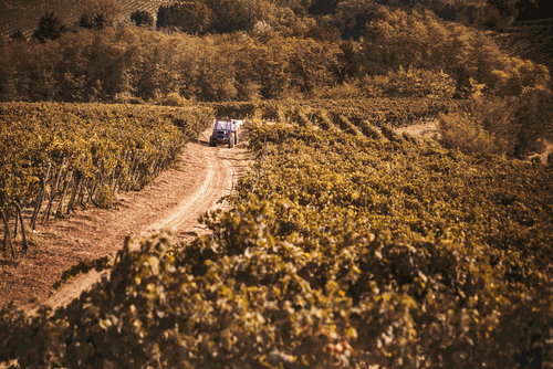 “Cantina Tre Secoli”