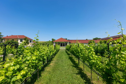 Das Weingut Heinzl-Gettinger in Deinzendorf