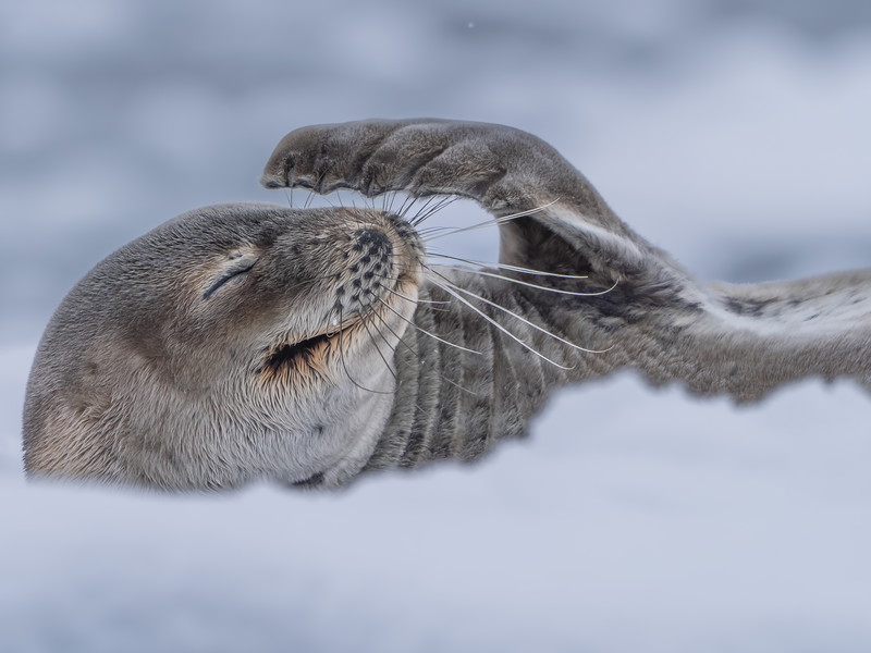 Nature Photography Day am 15. Juni: Die schönsten Tieraufnahmen