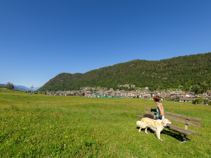 Valtellina a sei zampe: la montagna che conquista cani e proprietari