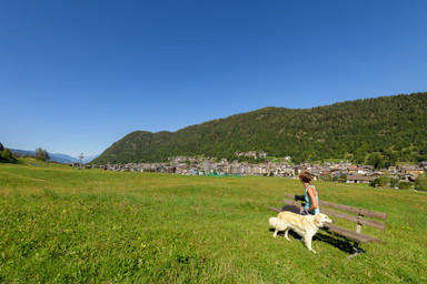 Valtellina a sei zampe: la montagna che conquista cani e proprietari