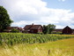 Five Swedish Vineyards Made for a Summer Stay