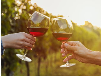 Le Notti del Vino accendono l'estate di Montepulciano