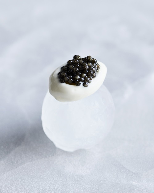 COLD KISS CAVIAR