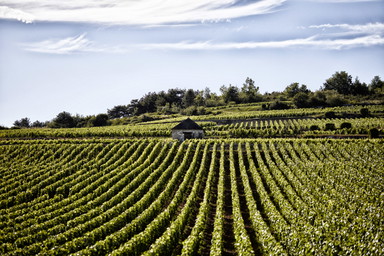 Vignobles des Cabottes: eine Neugründung aus langer Traditionslinie