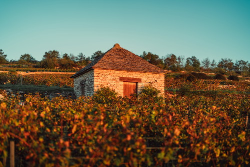 Chevalier Montrachet