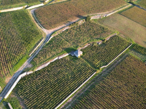 Chevalier Montrachet