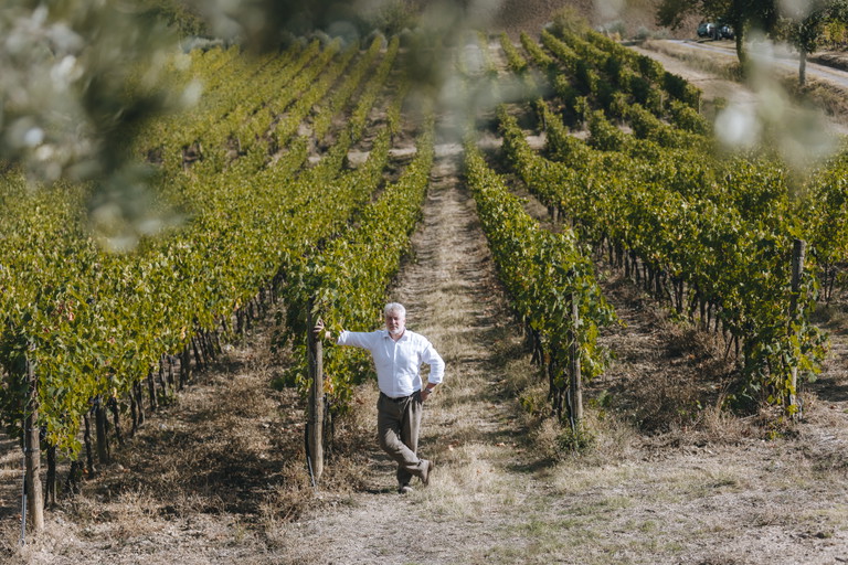 Giovanni Poggiali in vigneto