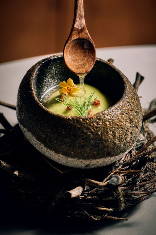 Frozen sorrel with a syrup made from pine cones