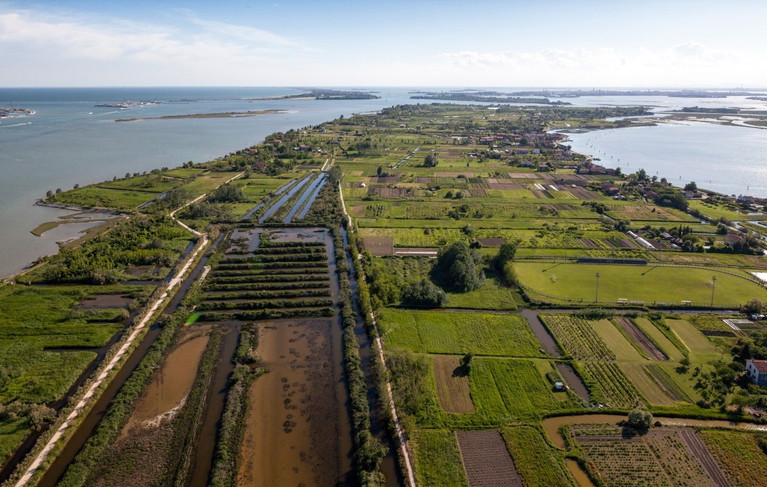 Orto dei Dogi, Isola di Sant'Erasmo 