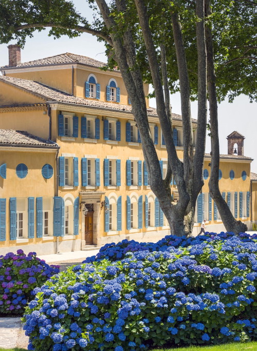 Das Château d’Esclans ist eines von drei Provence-Weingütern des Luxuskonzerns LVMH.