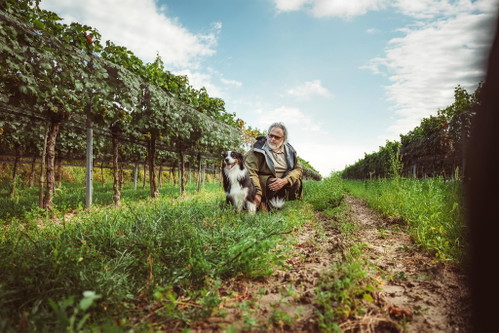 Der Wagram-Starwinzer Bernhard Ott überzeugte mit dem Grünen Veltliner Ried Rosenberg.
