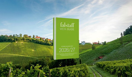 Der neue Weinguide 2026/27: Die besten Weine Österreichs und der Nachbarländer