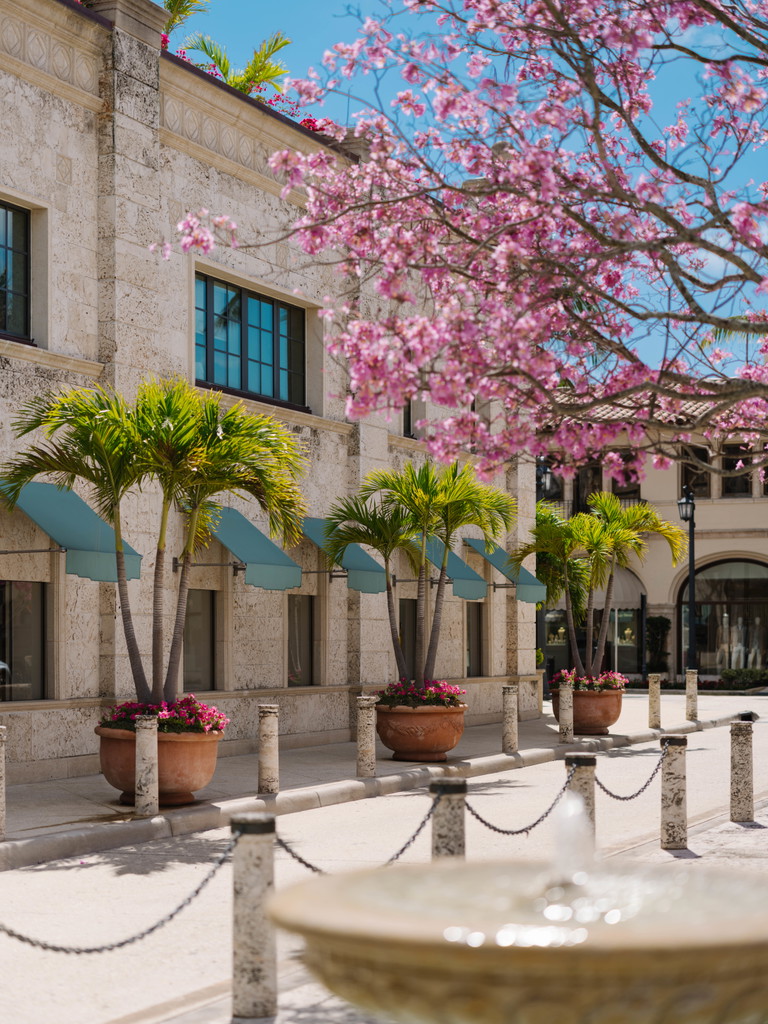 The Vineta Palm Beach