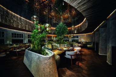 Restaurant der Woche: »Deer«