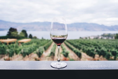 Chianti DOCG, via libera al nuovo disciplinare