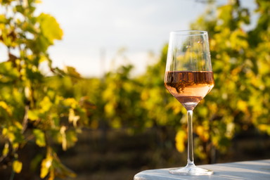 Chianti DOCG gibt grünes Licht für Rosé