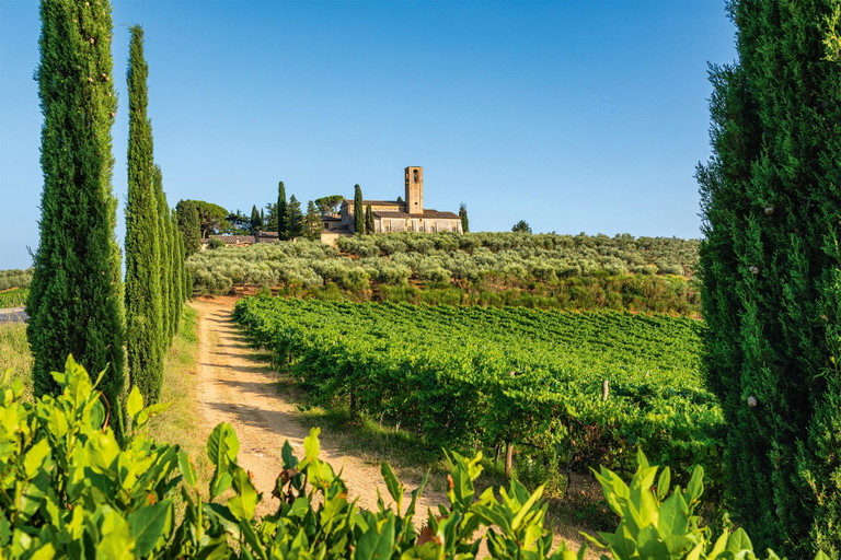 Auch im Val di Cornia, den Hügeln rund um Suvereto, findet Vermentino neuerdings großen Zuspruch.