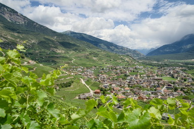 Salgesch: Wanderung durch die Reben