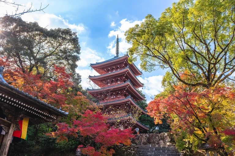 Kōchi