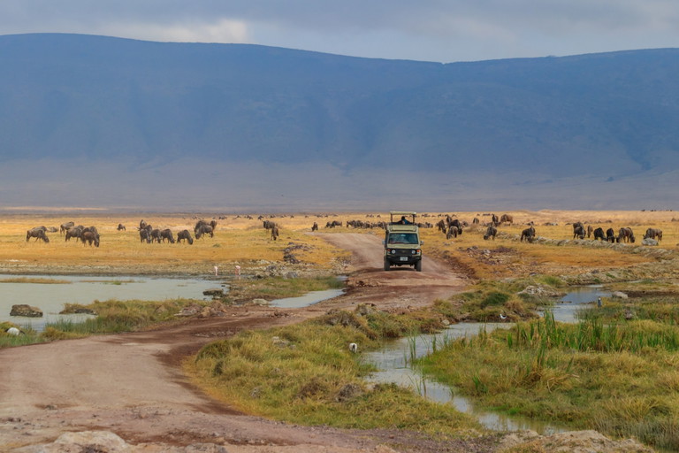 Ngorongoro Crater, Tansania