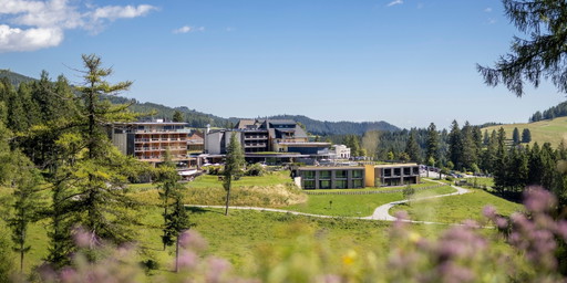 Almwellness auf höherer Ebene im Naturpark Almenland