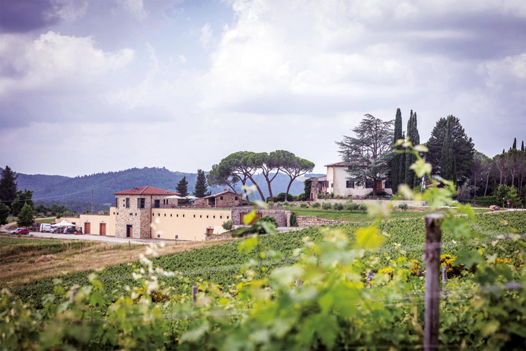 Der Keller der Tenuta La Massa.