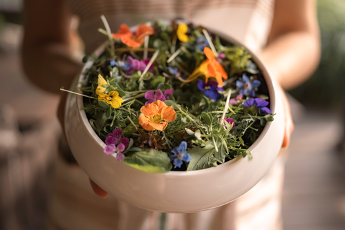 Un incontro tra natura e cucina: Insalata di Campo, con fiori e ortaggi di stagione, in armonia con il territorio.