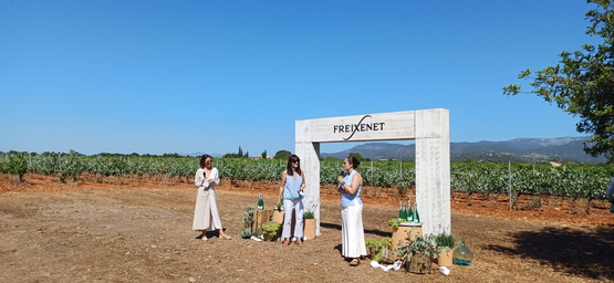 Wie Freixenet den Balearen ihren eigenen Aperitivo geben möchte