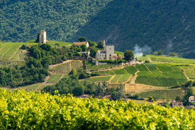 Alpine Wines Are the New Cool Climate Stars