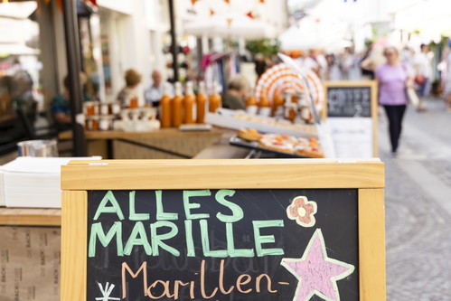 »Alles Marille« in Krems