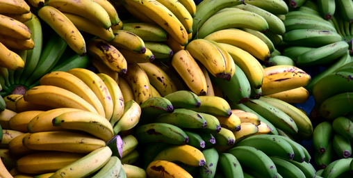 Wird die Banane bald die Food-Szene überrollen?