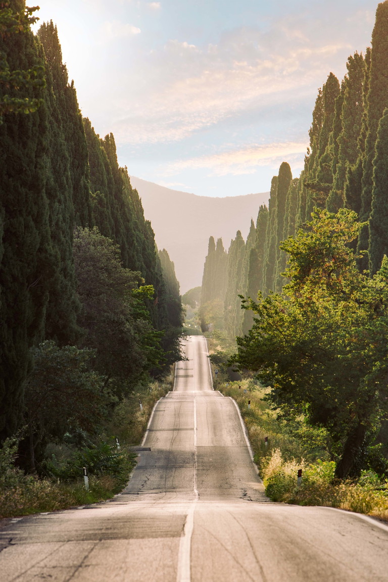 Il viale dei cipressi di Bolgheri